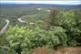 /album/photogallery/pertunias-home-fart-forest-jpeg/
